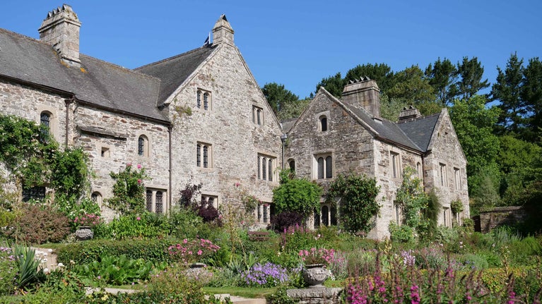 The garden in July at Cotehele, Cornwall